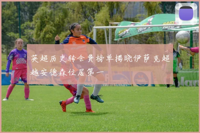英超历史转会费榜单揭晓伊萨克超越安德森位居第一