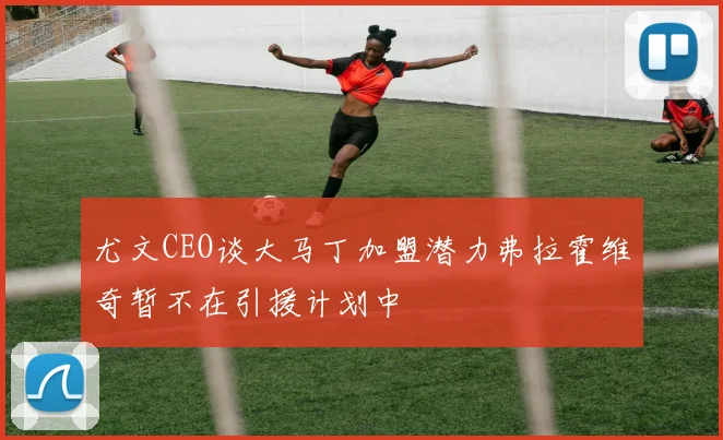 尤文CEO谈大马丁加盟潜力弗拉霍维奇暂不在引援计划中